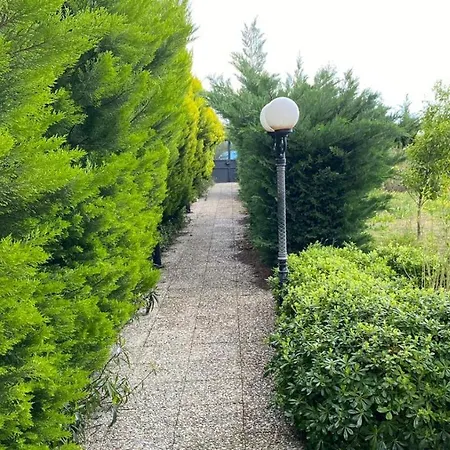 Villa Sea *